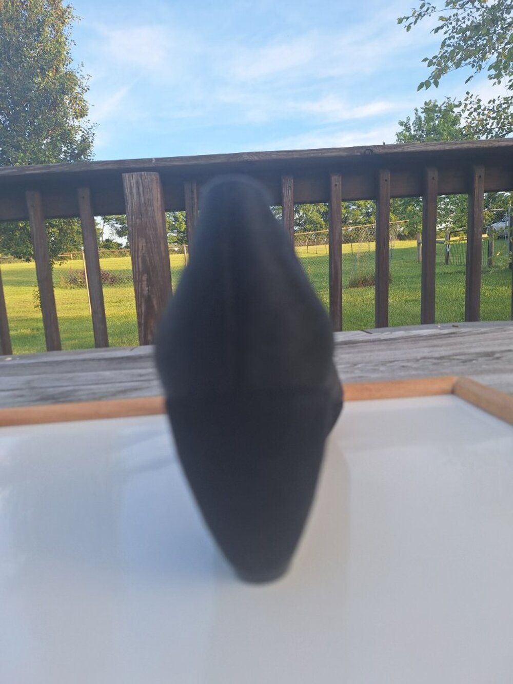 Sacha London Pony Hair Wedges Sz 8 - Picture 7 of 11